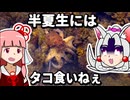 【7/2はタコの日】半夏生にはタコ食いねえ【VOICEROID漫才】