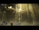 ELDEN RING NIGHTREIGN 常夜の王　強化フルゴール　復讐者ソロ　エルデンリングナイトレイン 2回目