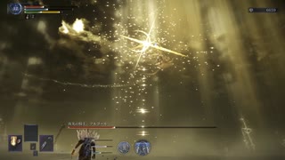 ELDEN RING NIGHTREIGN 常夜の王　強化フルゴール　復讐者ソロ　エルデンリングナイトレイン 2回目