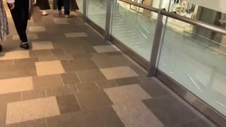 【表参道】Omotesando hills 表参道ヒルズのスロープを歩く2022_10_19