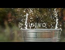 Various ripe fruits fall into a bucket of water