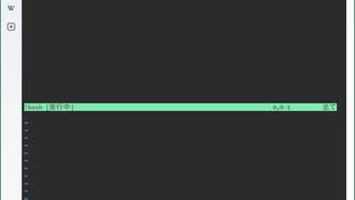 クラウド IDE で、 VSCode の代わりに Vim を起動させてみた