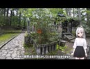 日光東照宮の奥にも神社があるってご存じでしたか？？【VOICEFVOX旅行】