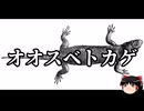 【ゆっくり朗読】ゆっくりさんと絶滅した生物　その34