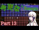 【Terraria】今更なテラリア　その13