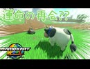 【実況】Switch2当たったのでマリカやる【マリオカートワールド】