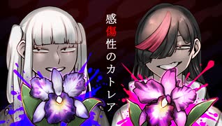 感傷性のカトレア【　Synapse Syndrome / シナプス・シンドローム　】