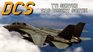 DCS World | F-14A | through the inferno server CAS Desert Sortie
