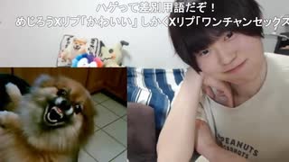 めじろう「たこすに似てる？あんなハゲと一緒にしないで！動物をコメ稼ぎに使ってさぁ！僕は違うから！僕はポメラニアンだよ♡」