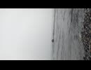 VID202507021854