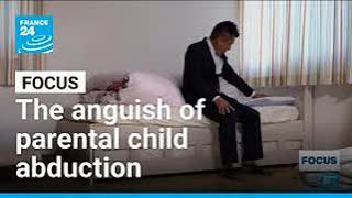 「親による子の連れ去りの苦悩：日本、共同親権の施行へ進む • FRANCE 24」