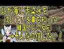【韓国の反応】そんなの信じない！北が汚染水を海に流している事実を知った結果【きょうの気になる詩。】