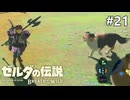 お供になってくれますか【ゼルダの伝説 ブレス オブ ザ ワイルドのんびり実況】#21