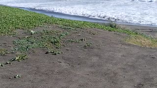 神奈川県の茅ケ崎市の柳島海岸に打ち寄せる波