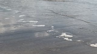 神奈川県の逗子海岸に打ち寄せる波