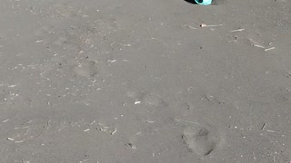神奈川県大磯町の大磯海水浴場の海と砂浜の様子