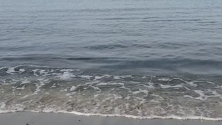 葉山町の海岸と海