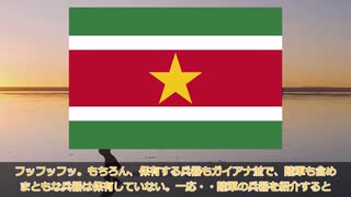 【ゆっくり解説】マイナー軍隊解説! スリナムの軍事力 ～将来、有望な産油国になる可能性が高い! ただ、軍事力は南米最小～