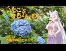 【東北イタコ車載】いたこ’ｓすとりーと Vol.19（吉備津神社でアジサイ）