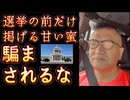 20250628_選挙前の時にだけ、甘い蜜を振りまく！？騙されるな！