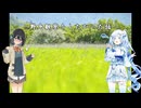 [モカ雪探鳥記]野鳥観察したかった話