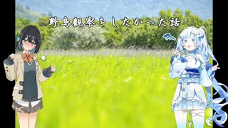 [モカ雪探鳥記]野鳥観察したかった話