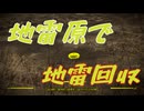 【Fallout4】隠しロケーション「地雷原」【ロケーション】