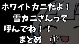 ホワイトカニだよ！雪カニさんって呼んでね！　まとめ　その①