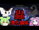 【ELDEN RING】vs強化個体　常夜の王　夜の識、グノスター【NIGHTREIGN】