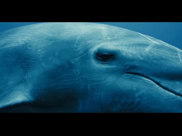 Ummet Ozcan - Ocean's Voice