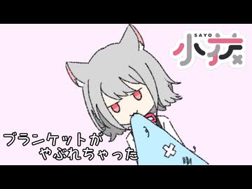 【小夜/SAYO】ブランケットがやぶれちゃった(クラリネットをこわしちゃった)【VOICEVOX】