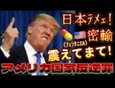 20250626_【間接統治から直接統治へ】いよいよアメリカ連邦捜査局（FBI）と、国土安全保障省（DHS）と米軍海兵隊（マリーン）の日本国内合同調査作戦が見られる時が来るのか！？胸アツ過ぎて、もう待てない！！
