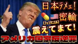 20250626_【間接統治から直接統治へ】いよいよアメリカ連邦捜査局（FBI）と、国土安全保障省（DHS）と米軍海兵隊（マリーン）の日本国内合同調査作戦が見られる時が来るのか！？胸アツ過ぎて、もう待てない！！