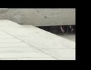 地下住人「心霊アンノウン　投稿者不明の呪われた動画10本 4」