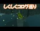 ゼルダの伝説　ティアーズ オブ ザ キングダム　実況プレイおまけその13