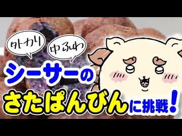シーサーのさたぱんびん作ってみた！【ちいかわ再現】（嫌がる娘に無理やり弁当を持たせてみた息子編）