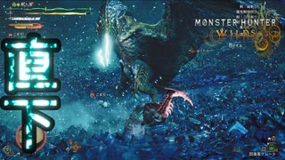 [MHWilds]直下電磁砲がめっちゃ強い！歴戦王レ・ダウ戦！〔STEAM版〕