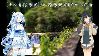 [モカ雪探鳥記]続･野鳥観察したかった話