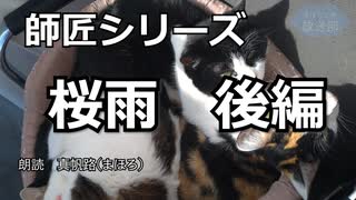 【朗読】師匠シリーズ「桜雨 後編」【京介さん】