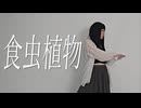 【踊ってみた】食虫植物／水野春