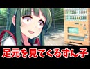 めっちゃ足元を見てくるずん子