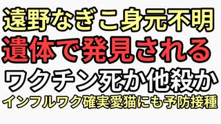 遠野なぎこ自宅から身元不明の遺体として発見される1週間前に料理配信　ワクチン死か他殺か？残された立派な猫が遠野なぎこを食べたか？