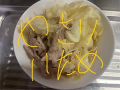 キャベツ　豚肉　塩ダレ　野菜　炒め