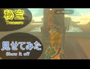 【ティアキン】依頼を受けて、護雷の兜に反応するＮＰＣをまとめてみた【ドリカラ】【ボイスピ実況,ゼルダの伝説,ティアーズオブザキングダム,TotK,バグ,検証 】