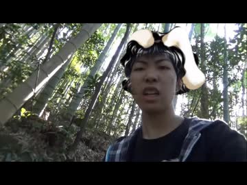 お坐倭さまの素い幡