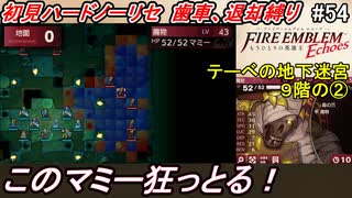萌えブレマーが往くファイアーエムブレムEchoes#54