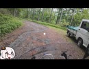 山梨林道めぐり　そのきゅう　～侭下線～