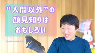 人間以外の顔見知りがいるのはおもしろい。