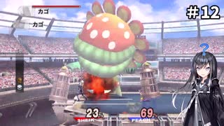 【スマブラX】ミリアルさんが亜空の使者を遊ぶようです#12