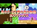 星のカービィ夢の泉の物語 3Dクラシックス ボスまとめ